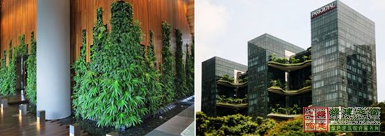 【綠建講堂】借鑒國內(nèi)外先進經(jīng)驗向霧霾宣戰(zhàn)——城市立體綠化治理PM2.5（12月25日綠建之窗微信群第十八期講座）