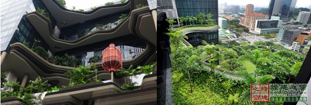 【綠建講堂】借鑒國內(nèi)外先進經(jīng)驗向霧霾宣戰(zhàn)——城市立體綠化治理PM2.5（12月25日綠建之窗微信群第十八期講座）