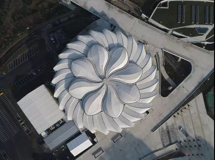 耗資11億、重達1280噸、40米高空上的“蓮花”建筑開花了！網(wǎng)友：撲面而來的中國風！